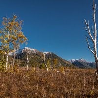 ... :: Евгений(Жора) Житников