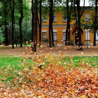 Листья жёлтые нам под ноги ложатся. :: Татьяна Помогалова