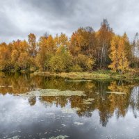 Прудик :: Александр Гурьянов