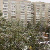 Первый снег. :: sav-al-v Савченко