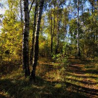 Хорош был день, но уже короче ночи :: Андрей Лукьянов