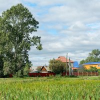 Сибирская глубинка. Домики в деревне :: Дмитрий Конев