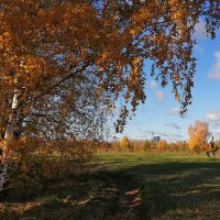 Осень пора золотая :: Екатерина Торганская