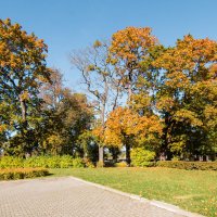 Осень в парке. :: Геннадий Порохов