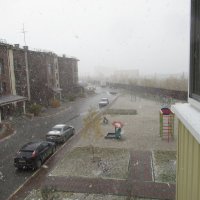 И снова снег. Из окна. :: Андрей Макурин