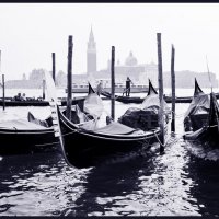 Tristezza silenziosa nel periodo delle nebbie di Venezia :: cheshirski-cat Cheshirskicat