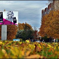 В город пришла осень :: Валерий Викторович РОГАНОВ-АРЫССКИЙ