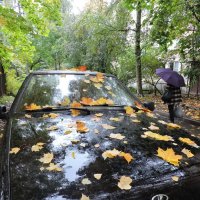 Осень в городе. :: Мария Васильева