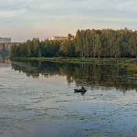 Городской релакс :: Валерий Иванович