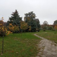 В парке 1 :: Елена Пономарева