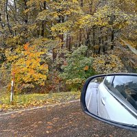 Осень за окном автомобиля. :: Михаил Столяров