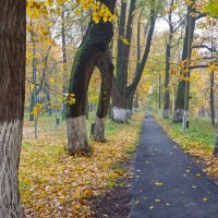 В старом парке :: Валерий Иванович