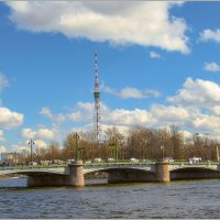 Каменноостровский мост :: Любовь Зинченко 