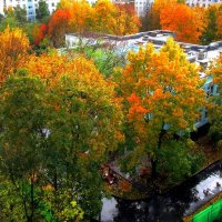 Осень в городе :: Ольга Довженко