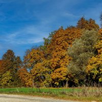 Sigulda 121019 2 :: Arturs Ancans