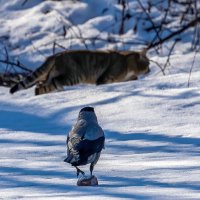 Давай, до свидания! :: Владимир Савельев