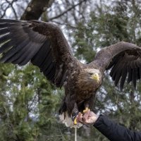 путешествие на кавказ.кисловодск. :: юрий макаров