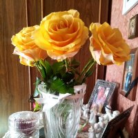 Желтые розы :: Нина Колгатина 