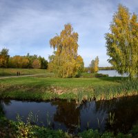 Берёзы. :: Александр Сергеевич 