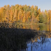 Финское озеро :: skijumper Иванов