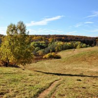 Дорога в долину :: Анатолий Колосов