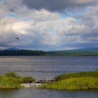 Красоты Княсьпинского озера :: Николай Гирш