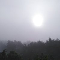 Туманное летнее утро :: Gopal Braj