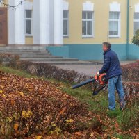 Пушкой по осени. :: Анатолий. Chesnavik.