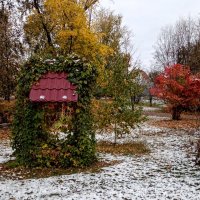 Первый снег в городском саду! :: Елена Хайдукова  ( Elena Fly )