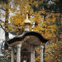 В кедровой роще Толгского монастыря :: Николай Белавин
