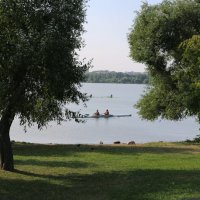 Лето на Чижовском водохранилище :: Ольга 