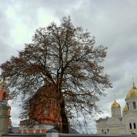 Сияют золотые купола. :: Михаил Столяров