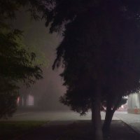 Ночной туман :: Константин Бобинский