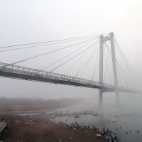 Сквозь туман  по вантовому мосту :: Екатерина Торганская