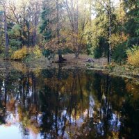 Шуваловский парк :: Наталья Герасимова