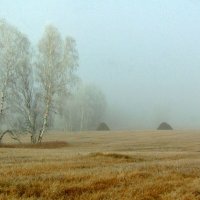 Туманное утро октябоя. :: nadyasilyuk Вознюк