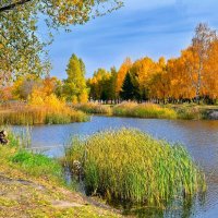 Осень, пруд и рыбак :: Mikhail Irtyshskiy