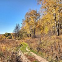 Вдоль осеннего золота :: Константин 