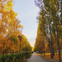 Осенний парк :: Рузанна 