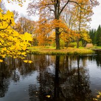 Осенняя красота :: Роман Алексеев