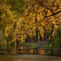 Осень в парке :: Pavel Blashkin
