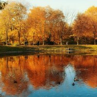 Взглянула Осень в зеркало пруда. :: Татьяна Помогалова