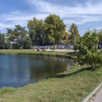Природа Гагаринского  парка :: Валентин Семчишин