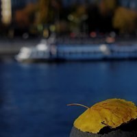 Осень у Москвы реки. :: Татьяна Помогалова