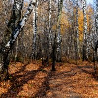 Прозрачный лес один чернеет :: Татьяна Лютаева