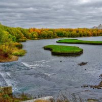 На Борисовских прудах :: Наталья Лакомова