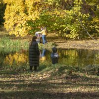 Осенний этюд в парке Культуры и отдыха :: Стальбаум Юрий 