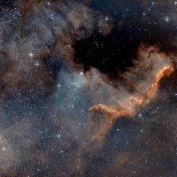 NGC 7000 :: Сергей Волков
