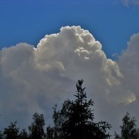 И кучевые облака, курчавящиеся над чащей... :: Tanja Gerster