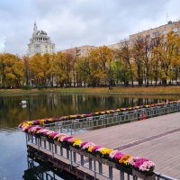 Москва. Осень на Патриарших. :: Надежда Лаптева